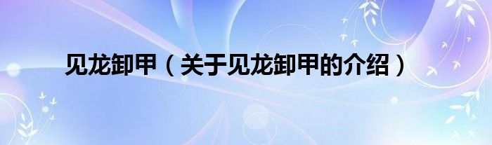 见龙卸甲（关于见龙卸甲的介绍）