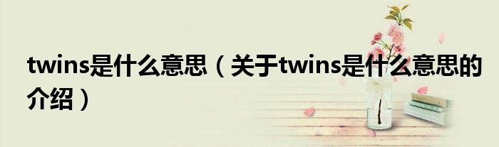twins是什么意思（关于twins是什么意思的介绍）
