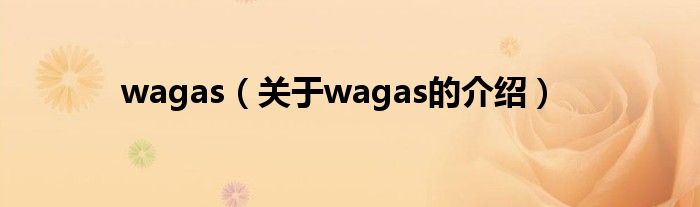 wagas（关于wagas的介绍）