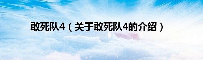 敢死队4（关于敢死队4的介绍）