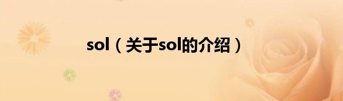 sol（关于sol的介绍）