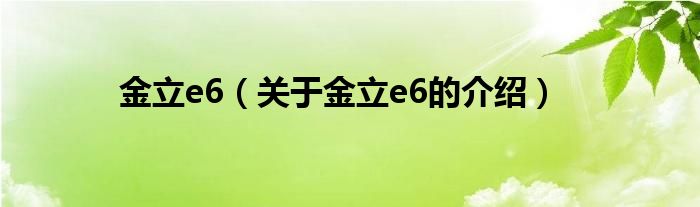 金立e6（关于金立e6的介绍）