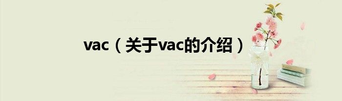 vac（关于vac的介绍）