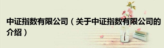 中证指数有限公司（关于中证指数有限公司的介绍）