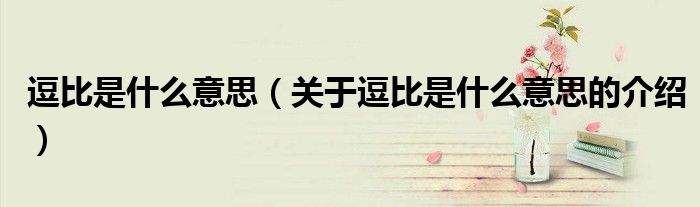 逗比是什么意思（关于逗比是什么意思的介绍）
