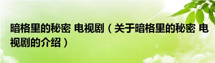 暗格里的秘密 电视剧（关于暗格里的秘密 电视剧的介绍）