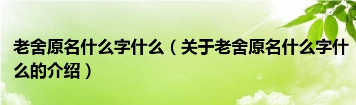 老舍原名什么字什么（关于老舍原名什么字什么的介绍）