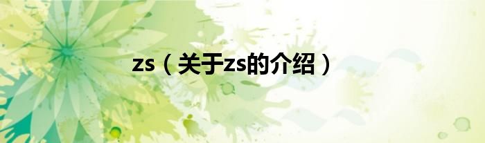 zs（关于zs的介绍）