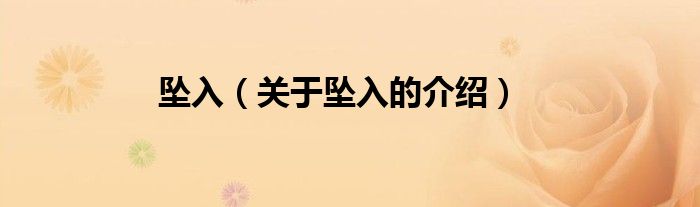 坠入（关于坠入的介绍）