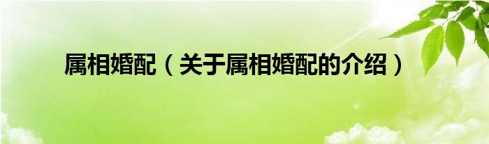 属相婚配（关于属相婚配的介绍）