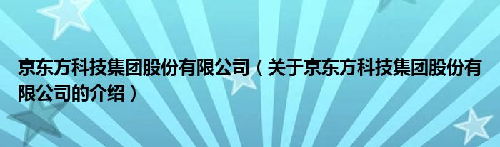 京东方科技集团股份有限公司（关于京东方科技集团股份有限公司的介绍）