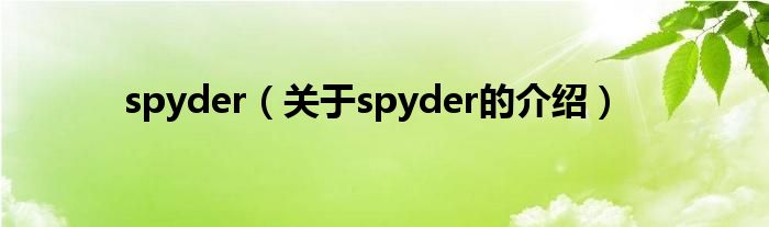 spyder（关于spyder的介绍）