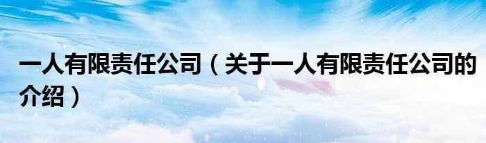 一人有限责任公司（关于一人有限责任公司的介绍）