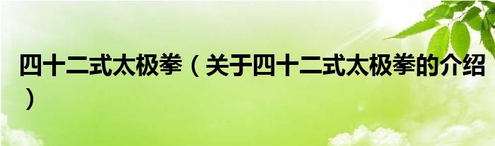 四十二式太极拳（关于四十二式太极拳的介绍）