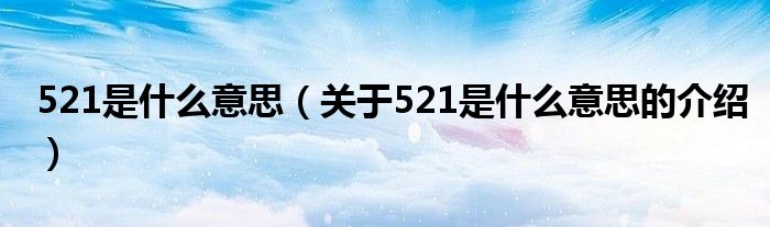 521是什么意思（关于521是什么意思的介绍）