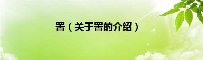 罟（关于罟的介绍）