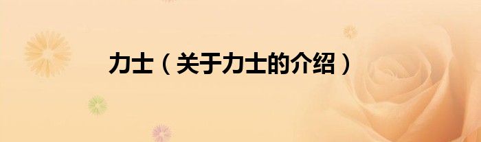 力士（关于力士的介绍）