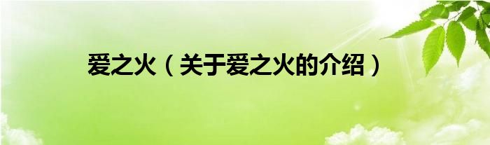 爱之火（关于爱之火的介绍）