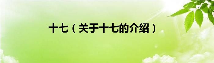 十七（关于十七的介绍）