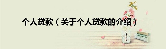 个人贷款（关于个人贷款的介绍）