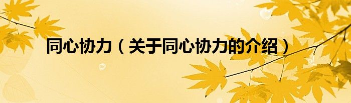 同心协力（关于同心协力的介绍）