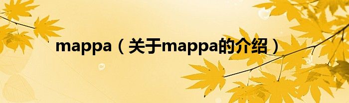 mappa（关于mappa的介绍）