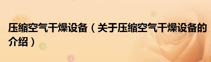 压缩空气干燥设备（关于压缩空气干燥设备的介绍）