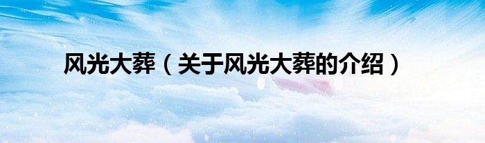 风光大葬（关于风光大葬的介绍）