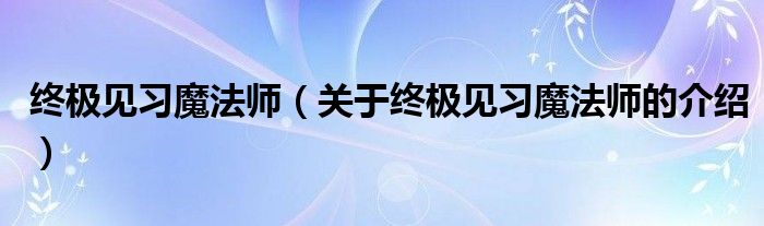 终极见习魔法师（关于终极见习魔法师的介绍）