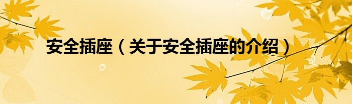 安全插座（关于安全插座的介绍）
