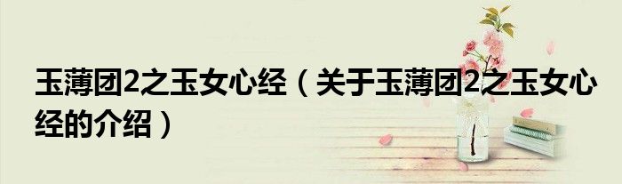 玉薄团2之玉女心经（关于玉薄团2之玉女心经的介绍）