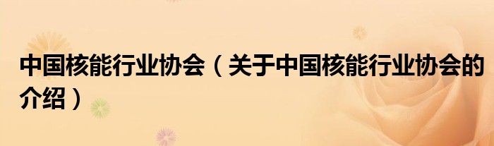 中国核能行业协会（关于中国核能行业协会的介绍）