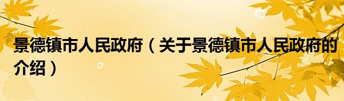 景德镇市人民政府（关于景德镇市人民政府的介绍）