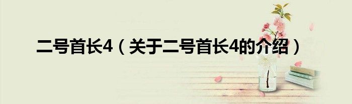 二号首长4（关于二号首长4的介绍）