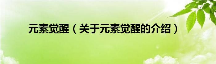 元素觉醒（关于元素觉醒的介绍）