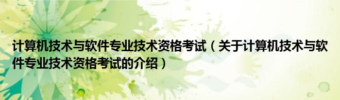 计算机技术与软件专业技术资格考试（关于计算机技术与软件专业技术资格考试的介绍）