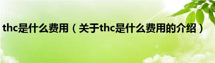 thc是什么费用（关于thc是什么费用的介绍）