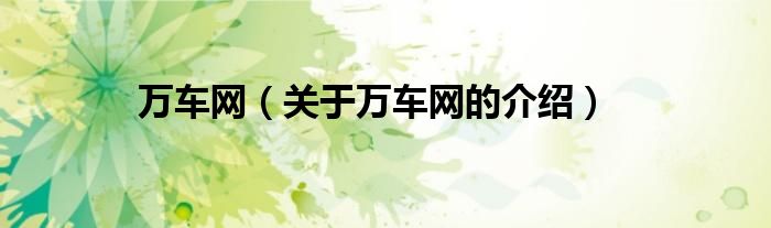 万车网（关于万车网的介绍）