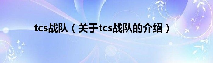 tcs战队（关于tcs战队的介绍）