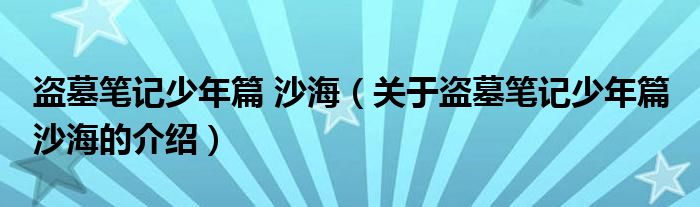 盗墓笔记少年篇 沙海（关于盗墓笔记少年篇 沙海的介绍）