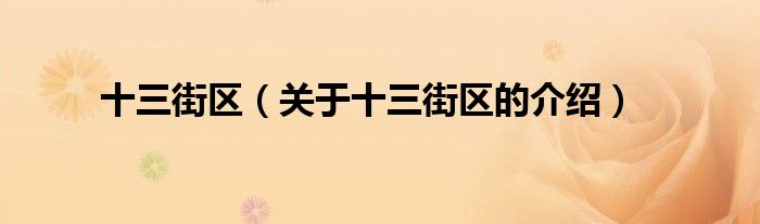 十三街区（关于十三街区的介绍）