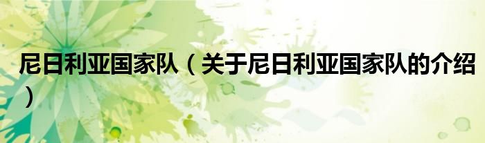 尼日利亚国家队（关于尼日利亚国家队的介绍）