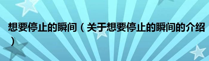想要停止的瞬间（关于想要停止的瞬间的介绍）