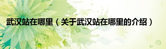 武汉站在哪里（关于武汉站在哪里的介绍）
