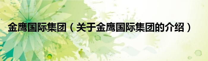 金鹰国际集团（关于金鹰国际集团的介绍）