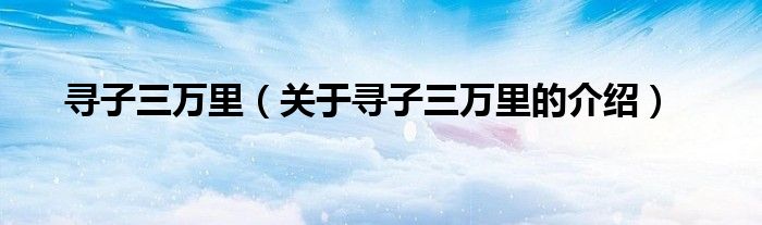 寻子三万里（关于寻子三万里的介绍）