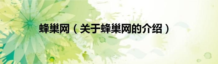 蜂巢网（关于蜂巢网的介绍）