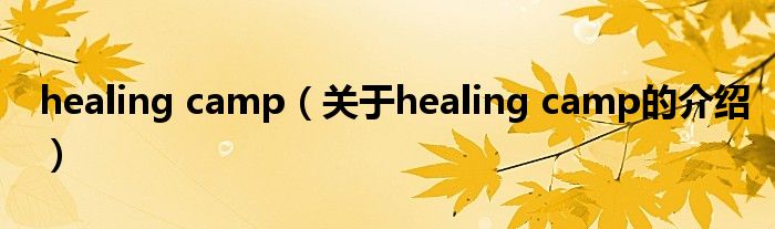 healing camp（关于healing camp的介绍）