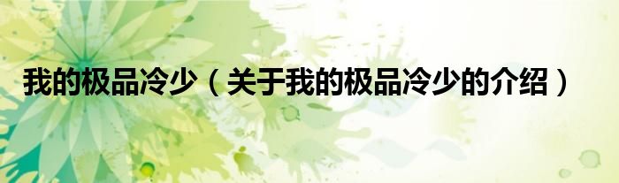 我的极品冷少（关于我的极品冷少的介绍）
