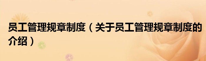 员工管理规章制度（关于员工管理规章制度的介绍）
